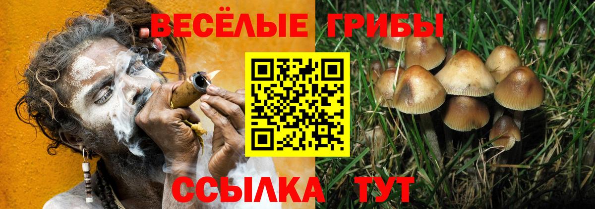 Южноуральск  Псилоцибиновые грибы MAGIC MUSHROOMS  Псилоцибиновые грибы Cubensis  Вход с VPN 